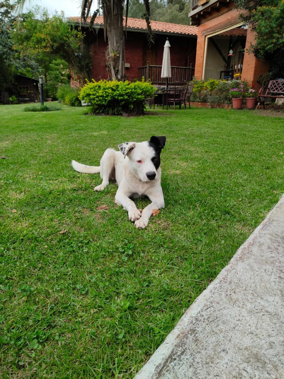 Ilatoa Lodge Quito Dış mekan fotoğraf