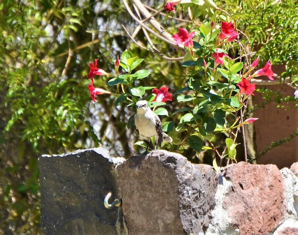 Ilatoa Lodge Quito Dış mekan fotoğraf